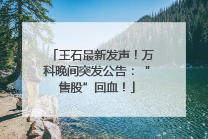 王石最新发声！万科晚间突发公告：“售股”回血！