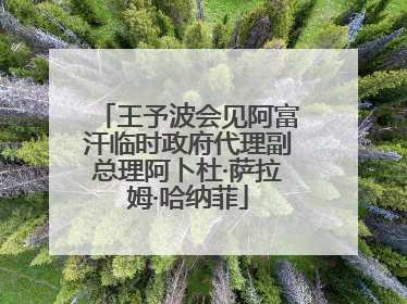 王予波会见阿富汗临时政府代理副总理阿卜杜·萨拉姆·哈纳菲