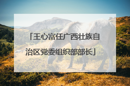 王心富任广西壮族自治区党委组织部部长