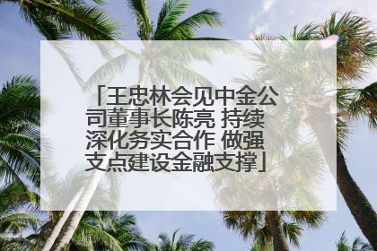 王忠林会见中金公司董事长陈亮 持续深化务实合作 做强支点建设金融支撑