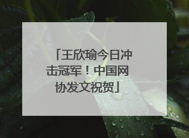 王欣瑜今日冲击冠军！中国网协发文祝贺