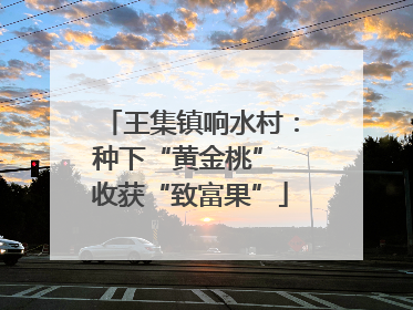 王集镇响水村：种下“黄金桃” 收获“致富果”