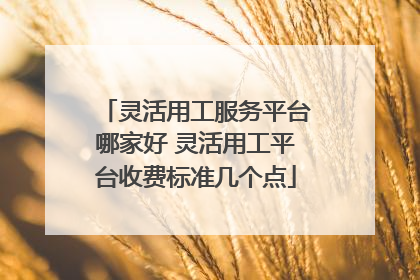 灵活用工服务平台哪家好 灵活用工平台收费标准几个点