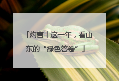灼言丨这一年，看山东的“绿色答卷”