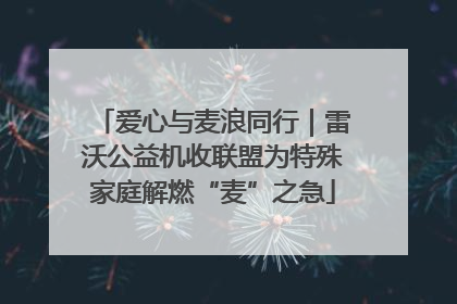 爱心与麦浪同行｜雷沃公益机收联盟为特殊家庭解燃“麦”之急