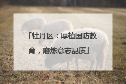牡丹区：厚植国防教育，磨炼意志品质