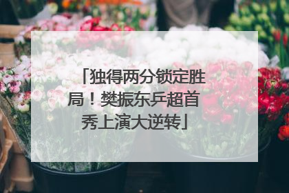 独得两分锁定胜局！樊振东乒超首秀上演大逆转