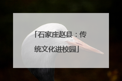 石家庄赵县：传统文化进校园