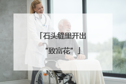 石头缝里开出“致富花”