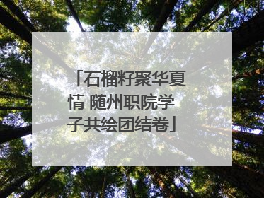 石榴籽聚华夏情 随州职院学子共绘团结卷