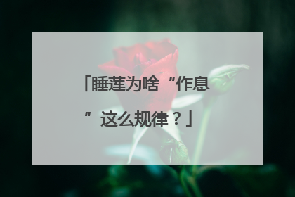 睡莲为啥“作息”这么规律？