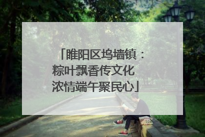 睢阳区坞墙镇：粽叶飘香传文化 浓情端午聚民心