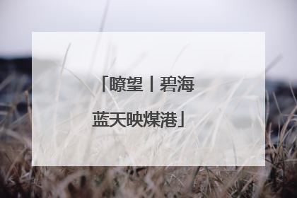 瞭望丨碧海蓝天映煤港
