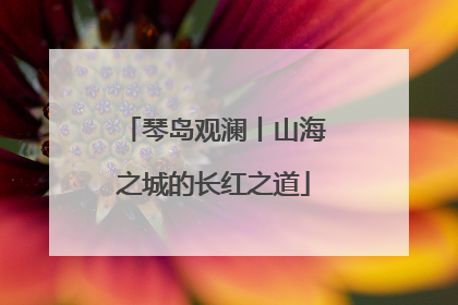 琴岛观澜丨山海之城的长红之道