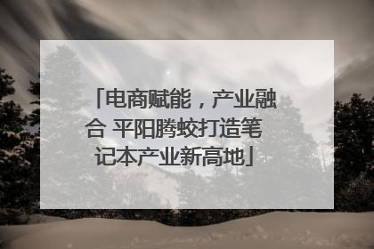 电商赋能，产业融合 平阳腾蛟打造笔记本产业新高地