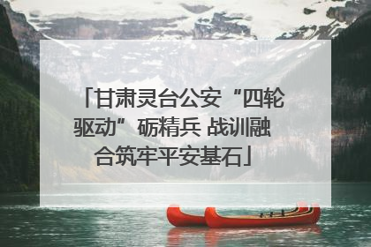 甘肃灵台公安“四轮驱动”砺精兵 战训融合筑牢平安基石