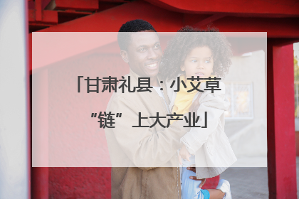 甘肃礼县：小艾草“链”上大产业