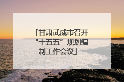 甘肃武威市召开“十五五”规划编制工作会议