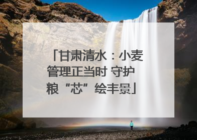 甘肃清水：小麦管理正当时 守护粮“芯”绘丰景
