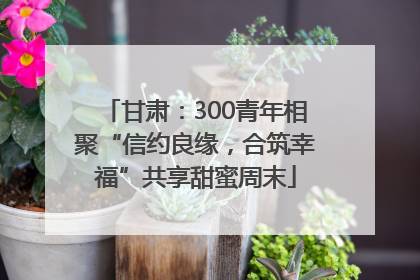 甘肃：300青年相聚“信约良缘，合筑幸福”共享甜蜜周末