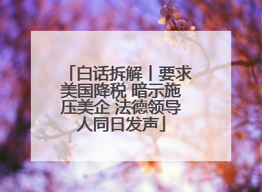 白话拆解丨要求美国降税 暗示施压美企 法德领导人同日发声