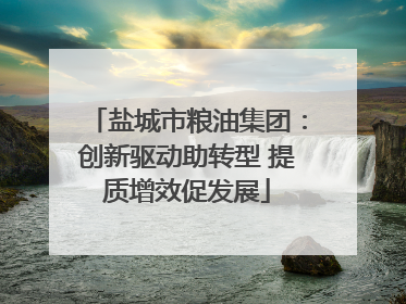 盐城市粮油集团：创新驱动助转型 提质增效促发展