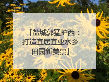 盐城郭猛护西：打造宜居宜业水乡田园新美景