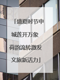 盛夏时节申城莲开万象 荷韵流转激发文旅新活力