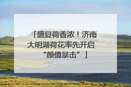 盛夏荷香浓！济南大明湖荷花率先开启“颜值暴击”