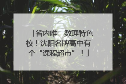 省内唯一数理特色校！沈阳名牌高中有个“课程超市”！