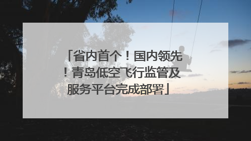 省内首个！国内领先！青岛低空飞行监管及服务平台完成部署