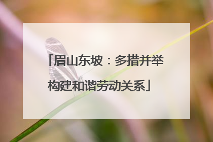 眉山东坡：多措并举构建和谐劳动关系