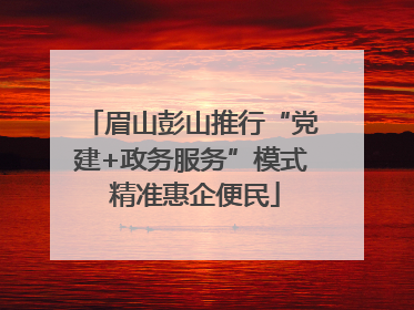 眉山彭山推行“党建+政务服务”模式 精准惠企便民