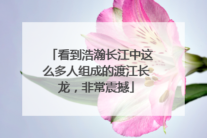 看到浩瀚长江中这么多人组成的渡江长龙，非常震撼
