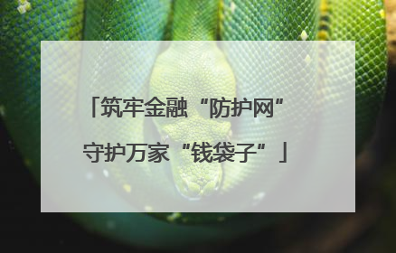 筑牢金融“防护网” 守护万家“钱袋子”