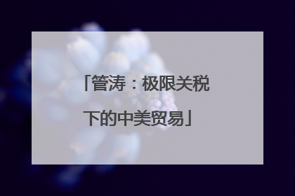 管涛：极限关税下的中美贸易