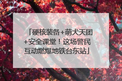 硬核装备+萌犬天团+安全课堂！这场警民互动燃爆地铁台东站
