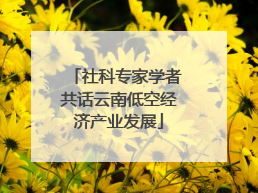 社科专家学者共话云南低空经济产业发展