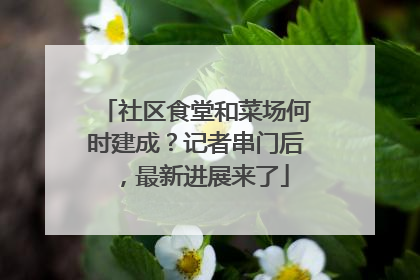 社区食堂和菜场何时建成？记者串门后，最新进展来了