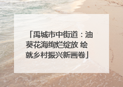 禹城市中街道：油葵花海绚烂绽放 绘就乡村振兴新画卷