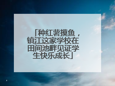 种红薯摸鱼，镇江这家学校在田间池畔见证学生快乐成长