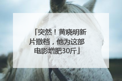 突然！黄晓明新片撤档，他为这部电影增肥30斤