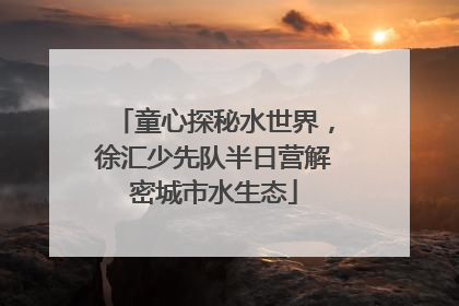 童心探秘水世界，徐汇少先队半日营解密城市水生态