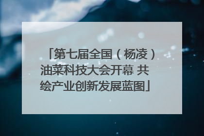 第七届全国（杨凌）油菜科技大会开幕 共绘产业创新发展蓝图