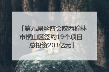 第九届丝博会陕西榆林市横山区签约19个项目 总投资203亿元