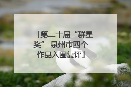 第二十届“群星奖” 泉州市四个作品入围复评