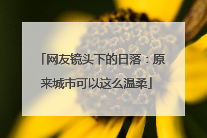 网友镜头下的日落：原来城市可以这么温柔