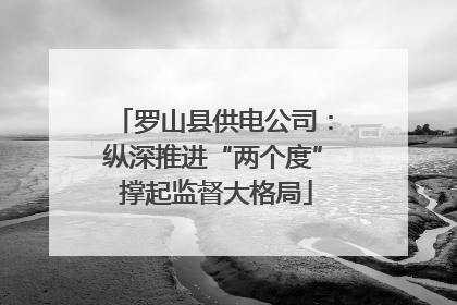 罗山县供电公司：纵深推进“两个度” 撑起监督大格局