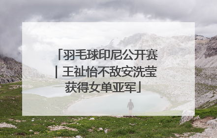 羽毛球印尼公开赛｜王祉怡不敌安洗莹 获得女单亚军