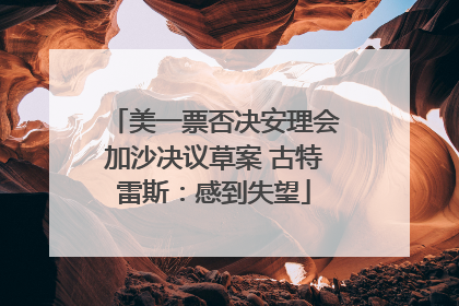 美一票否决安理会加沙决议草案 古特雷斯：感到失望